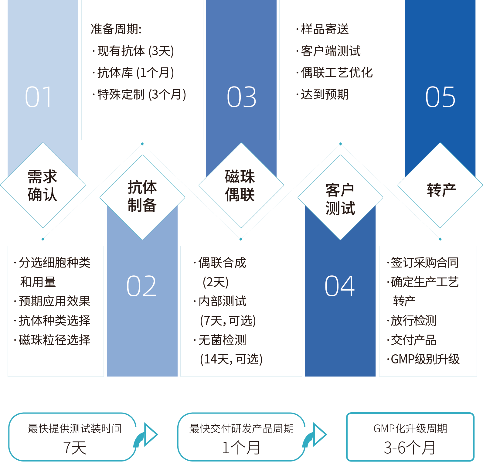 ag尊龙z6mg细胞分选激活磁珠/分选磁珠定制，定制流程