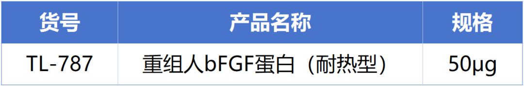 ag尊龙z6mg新一代耐热型重组人bFGF蛋白正式发布！高温环境下的修复王者! 