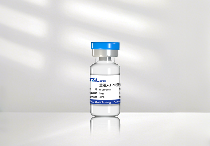 ag尊龙z6mg新品速递 | 重组人TPO蛋白震撼上市！精准调控造血，解锁干细胞培养新维度