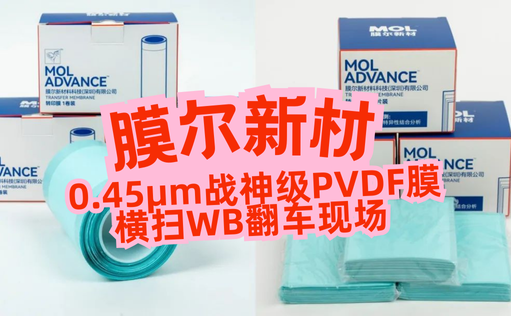 “膜”力加倍！膜尔新材战神级PVDF膜横扫WB翻车现场—0.45μm精准孔径狙杀各类蛋白，背景纯净如冰川